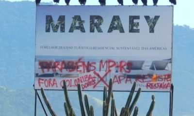 Foto: Divulgação/SOS Restinga de Maricá