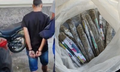 Papelotes de maconha e pinos de cocaína apreendidos pela polícia