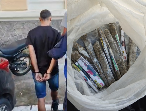 Papelotes de maconha e pinos de cocaína apreendidos pela polícia