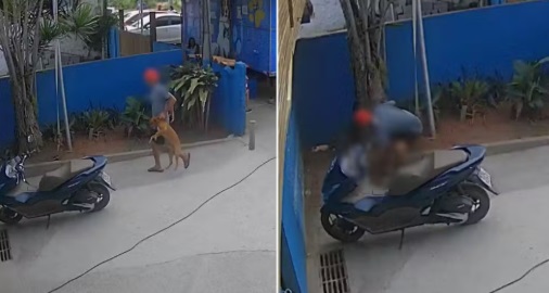 Homem agride cadela em via pública em Búzios