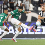 Palmeiras empata com Botafogo e perde liderança do Brasileirão